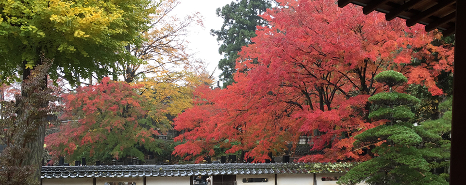 ホーム|松本浅間温泉 神宮寺
