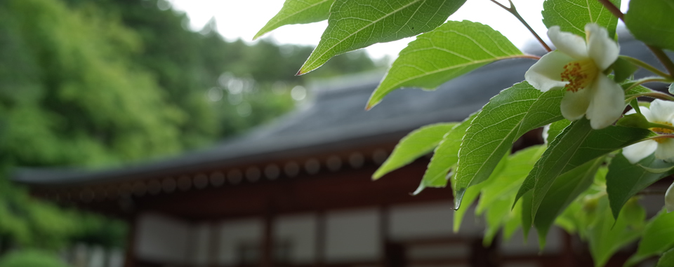 長野・神宮寺・永代供養・本堂