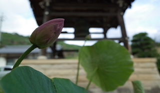 松本市神宮寺坐禅会④